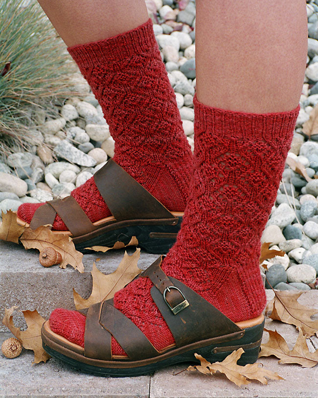 AC47e ~ Acorn Lace Socks ~ PDF Digital Download